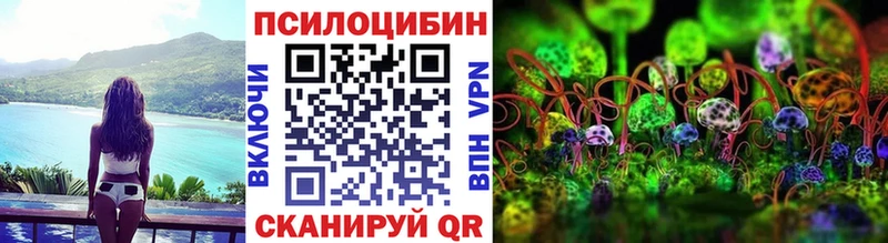 Псилоцибиновые грибы мицелий darknet формула Ленинск-Кузнецкий купить наркотики цена